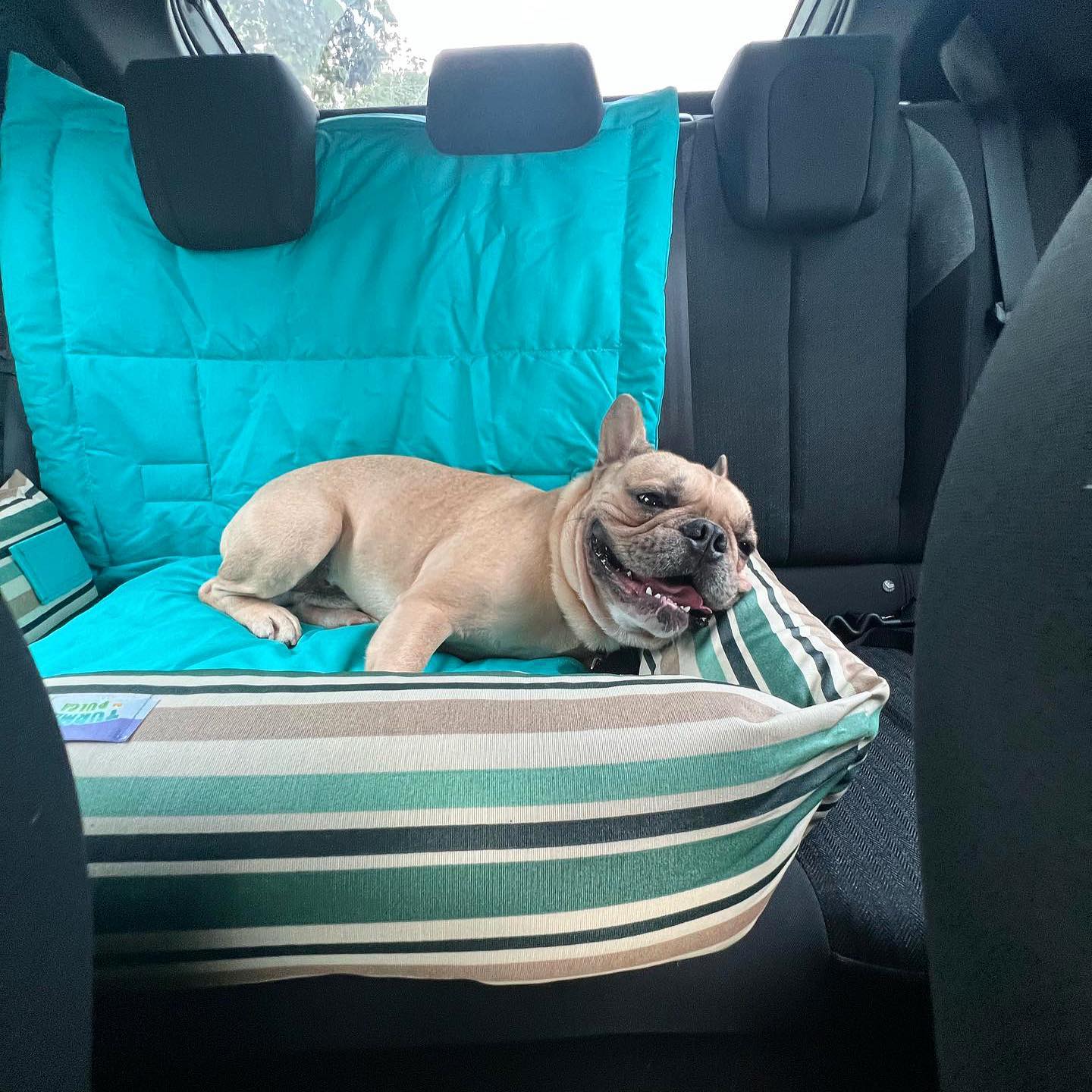Caminha 4 em 1 IMPERMEÁVEL - Cama, Colchonete, Protetor para o Sofá e Carro