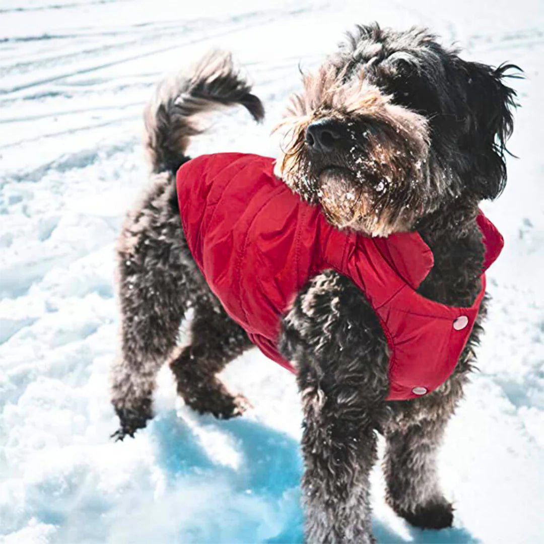 Colete de Frio Pet Sport