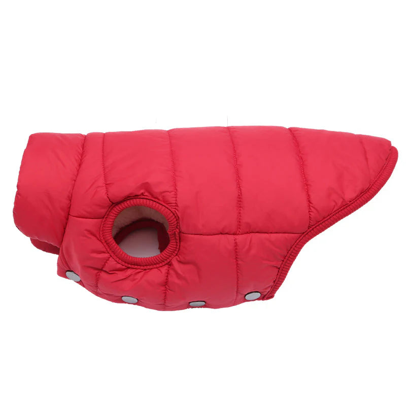 Colete de Frio Pet Sport