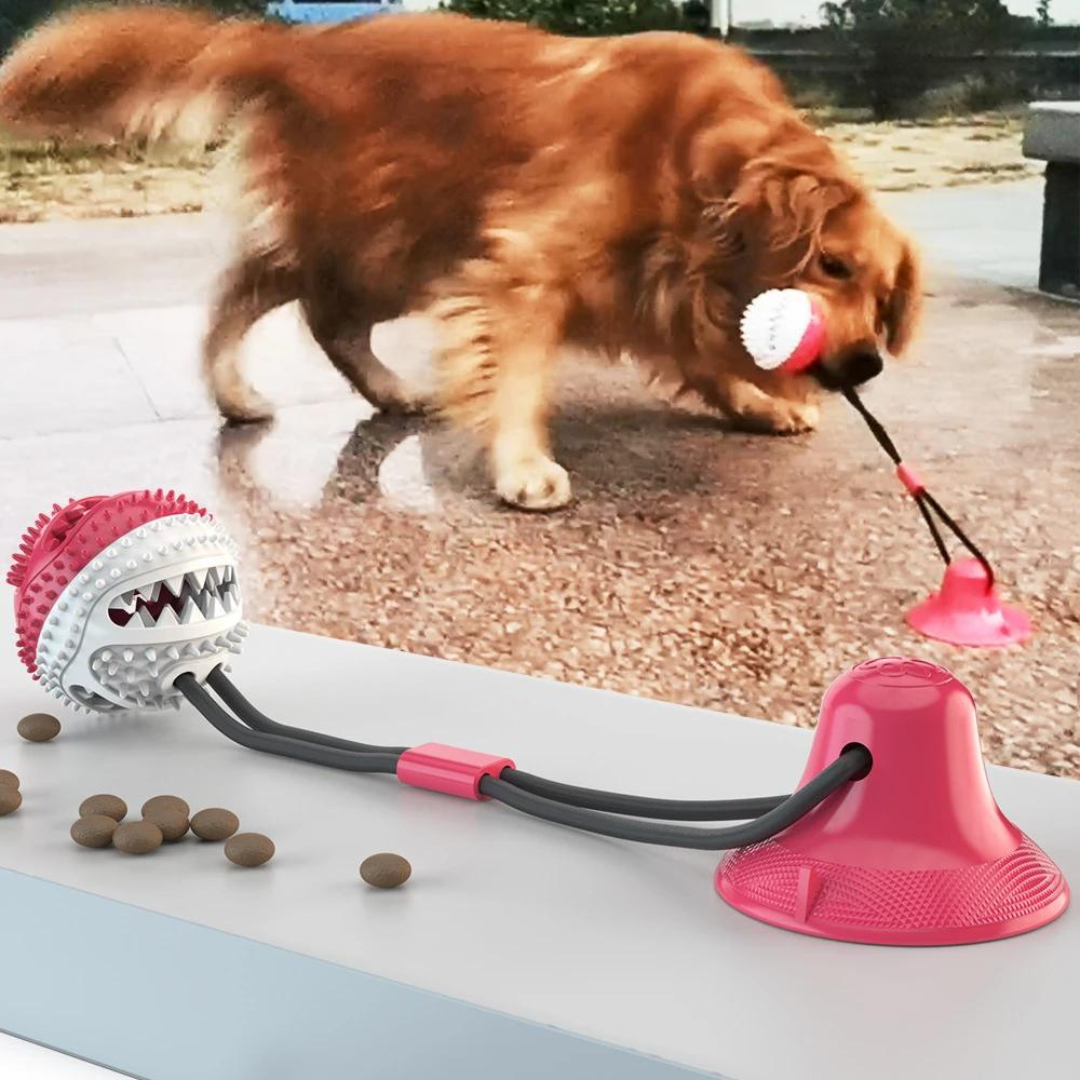 Brinquedo Cabo de Guerra com Porta Petiscos e Mordedor para Cachorro