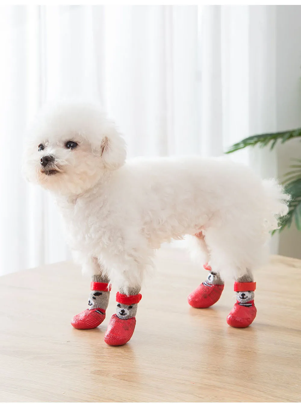 Sapatinho Meia Impermeável Antiderrapante para Pets - Conforto e Proteção