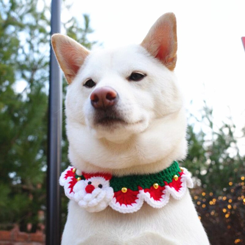 Colar de Natal Pet | Para Cachorro e Gato