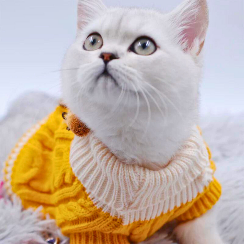 Fashion Tricot | Para Cachorro e Gato