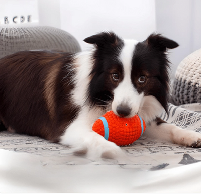 Brinquedo Bola Super Resistente para Pets com Costura Reforçada