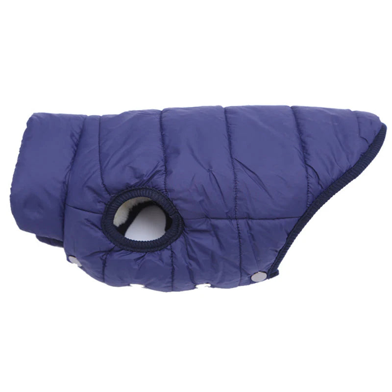 Colete de Frio Pet Sport