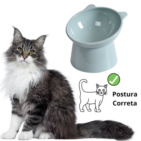 Comedouro para Gato Elevado e Ergonômico