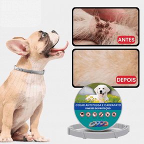 SafePet - Colar Anti Parasitas Premium   [8 meses de proteção]
