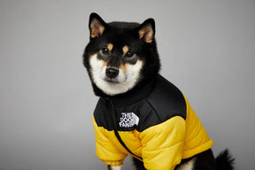 Jaqueta The Dog Fans | Para Cachorro