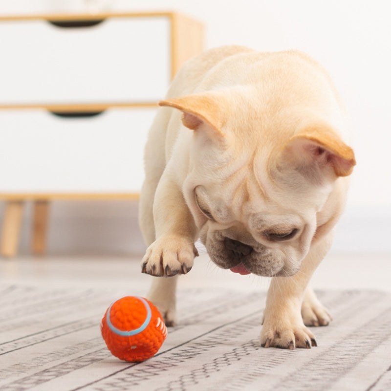 Brinquedo Bola Super Resistente para Pets com Costura Reforçada