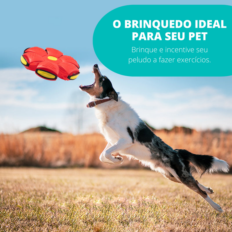 Pet Ball Bola Voadora para Cães