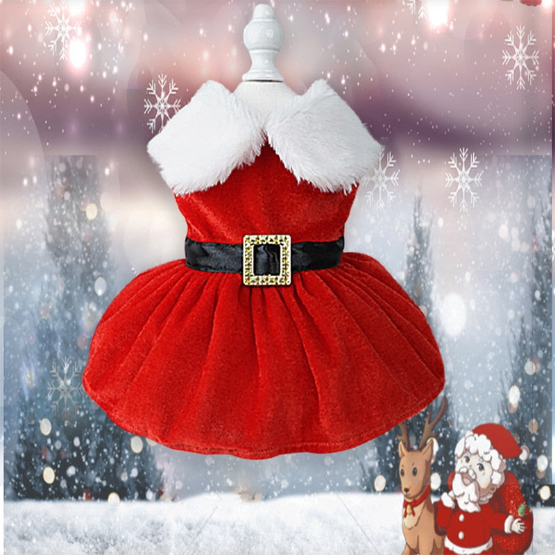 Vestido Pet Natal Charm | Para cachorro