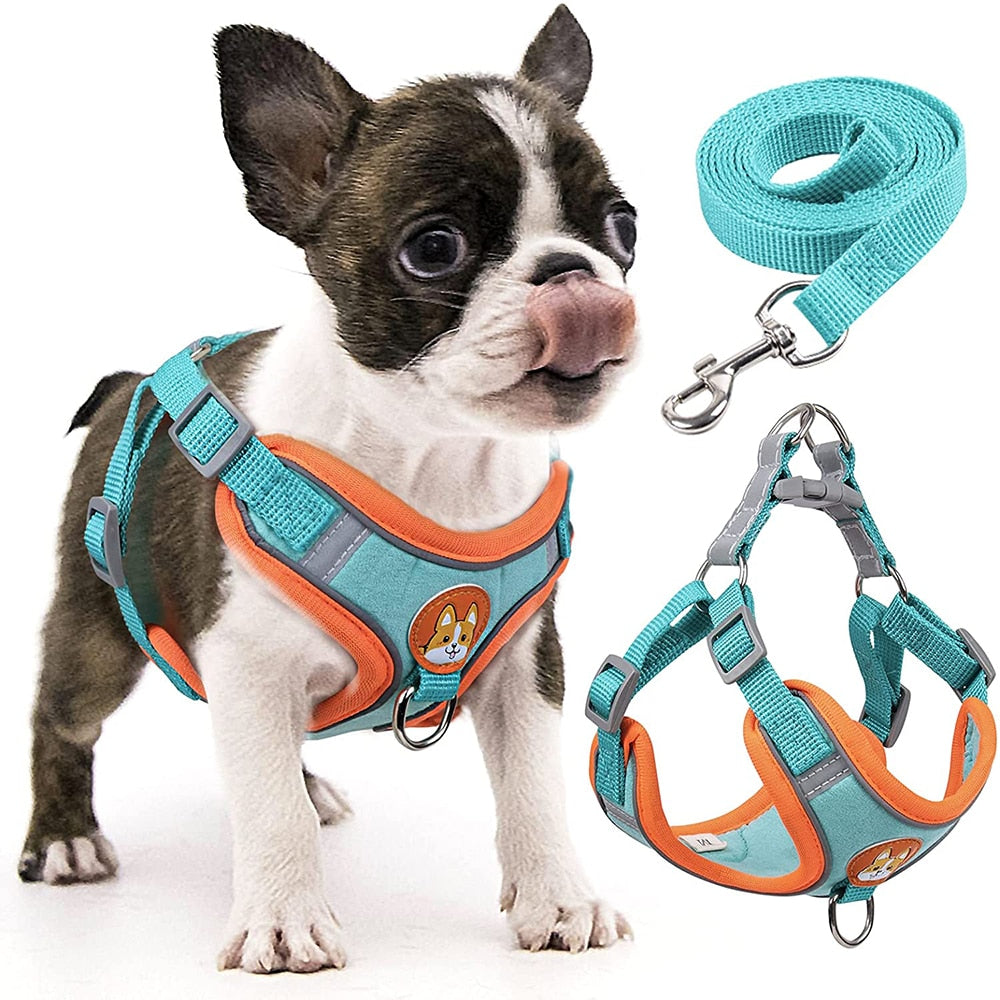 Coleira Peitoral Para Cachorro - Dog Ride
