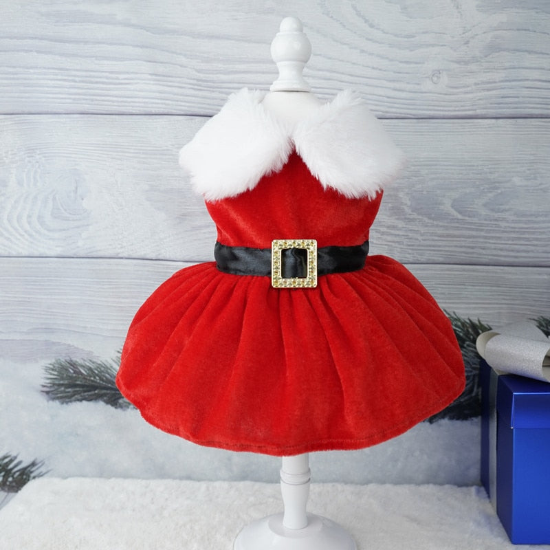 Vestido Pet Natal Charm | Para cachorro