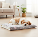 Tapetinho Premium | Para Cachorro e Gato