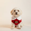 Vestido Pet Natal Charm | Para cachorro