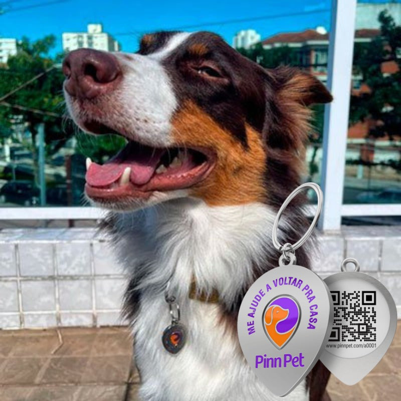 Pinn Pet - Saiba exatamente onde seu pet está!