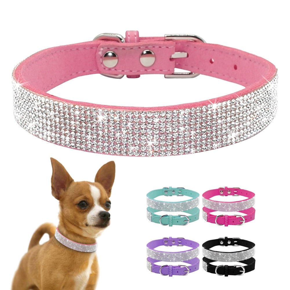 Coleira LuxuStrap